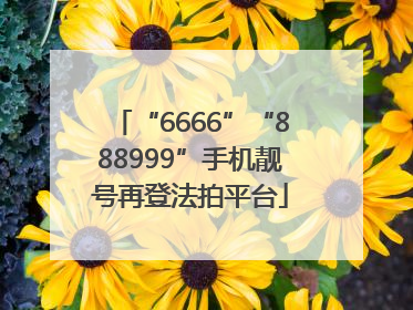 “6666”“888999”手机靓号再登法拍平台