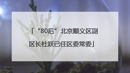 “80后”北京顺义区副区长杜跃已任区委常委