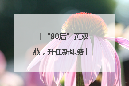 “80后”黄双燕，升任新职务
