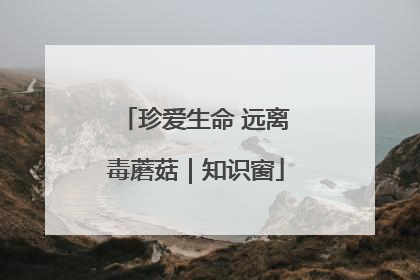 珍爱生命 远离毒蘑菇|知识窗