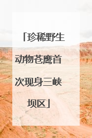 珍稀野生动物苍鹰首次现身三峡坝区