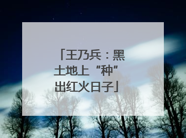 王乃兵：黑土地上“种”出红火日子