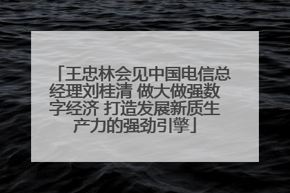 王忠林会见中国电信总经理刘桂清 做大做强数字经济 打造发展新质生产力的强劲引擎