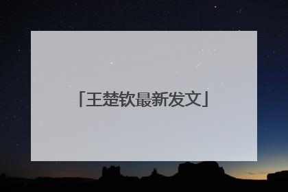 王楚钦最新发文