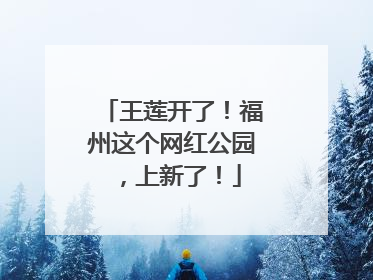 王莲开了！福州这个网红公园，上新了！