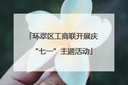 环翠区工商联开展庆“七一”主题活动
