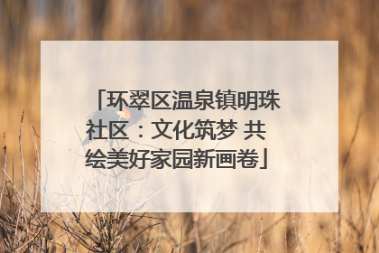 环翠区温泉镇明珠社区：文化筑梦 共绘美好家园新画卷