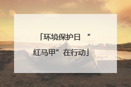 环境保护日 “红马甲”在行动