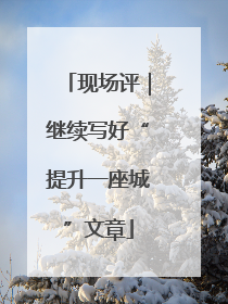 现场评｜继续写好“提升一座城”文章