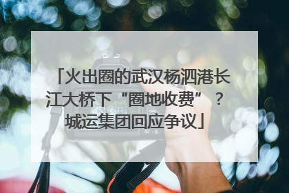 火出圈的武汉杨泗港长江大桥下“圈地收费”？城运集团回应争议