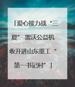 爱心接力战“三夏” 雷沃公益机收开进山东重工“第一书记村”
