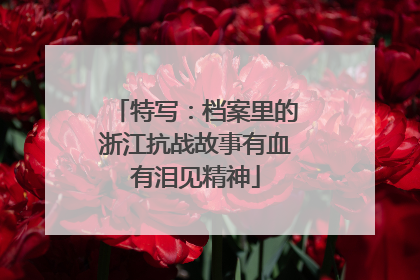 特写：档案里的浙江抗战故事有血有泪见精神