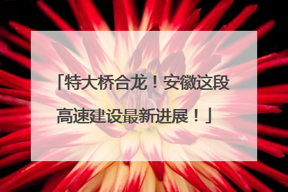 特大桥合龙！安徽这段高速建设最新进展！