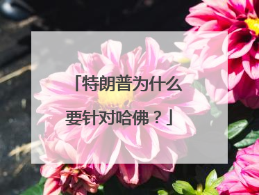 特朗普为什么要针对哈佛？