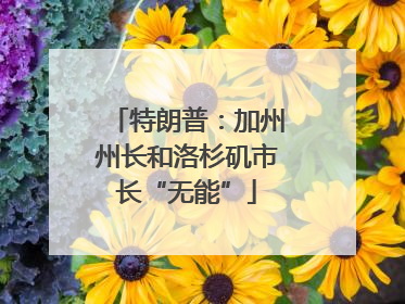 特朗普：加州州长和洛杉矶市长“无能”