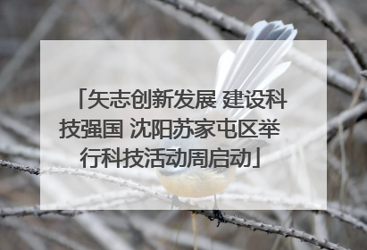 矢志创新发展 建设科技强国 沈阳苏家屯区举行科技活动周启动