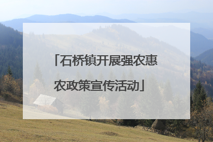 石桥镇开展强农惠农政策宣传活动