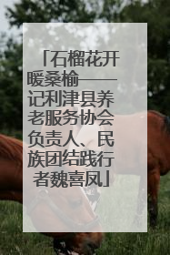 石榴花开暖桑榆——记利津县养老服务协会负责人、民族团结践行者魏喜凤