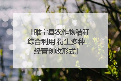 睢宁县农作物秸秆综合利用 衍生多种经营创收形式