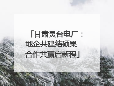 甘肃灵台电厂：地企共建结硕果 合作共赢启新程