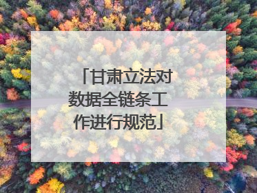 甘肃立法对数据全链条工作进行规范