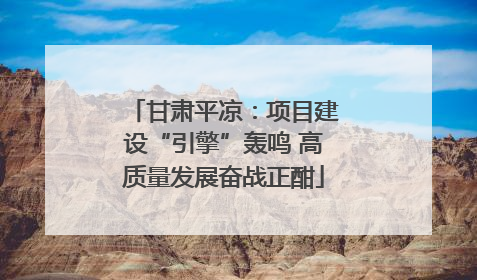 甘肃平凉：项目建设“引擎”轰鸣 高质量发展奋战正酣
