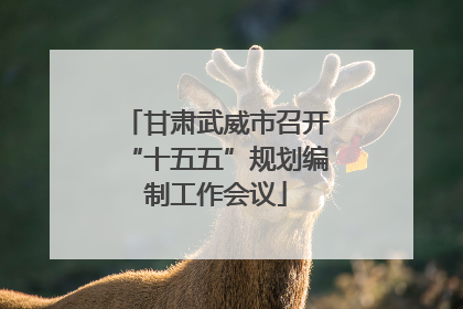 甘肃武威市召开“十五五”规划编制工作会议
