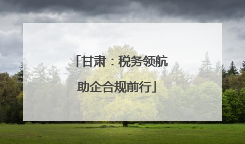 甘肃：税务领航 助企合规前行