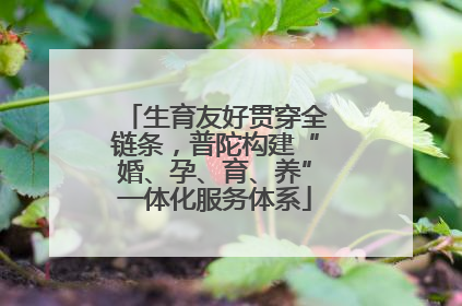 生育友好贯穿全链条，普陀构建“婚、孕、育、养”一体化服务体系
