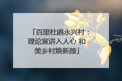 百里杜鹃永兴村：理论宣讲入人心 和美乡村焕新颜