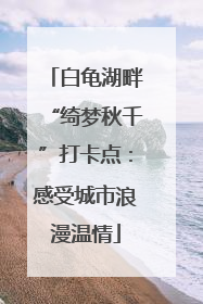 白龟湖畔“绮梦秋千”打卡点：感受城市浪漫温情