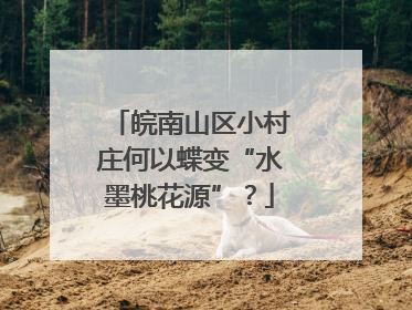 皖南山区小村庄何以蝶变“水墨桃花源”？
