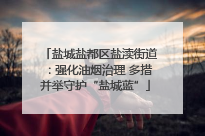 盐城盐都区盐渎街道：强化油烟治理 多措并举守护“盐城蓝”