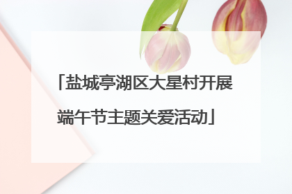 盐城亭湖区大星村开展端午节主题关爱活动