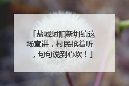 盐城射阳新坍镇这场宣讲，村民抢着听，句句说到心坎！