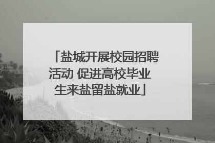 盐城开展校园招聘活动 促进高校毕业生来盐留盐就业