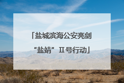 盐城滨海公安亮剑“盐靖”Ⅱ号行动