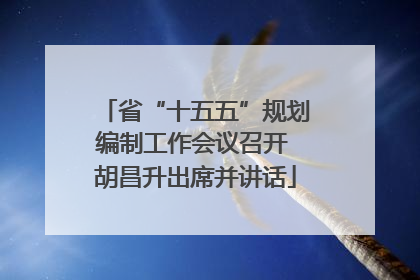 省“十五五”规划编制工作会议召开 胡昌升出席并讲话