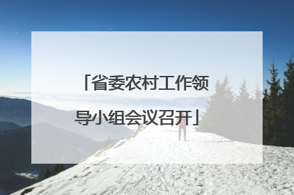 省委农村工作领导小组会议召开
