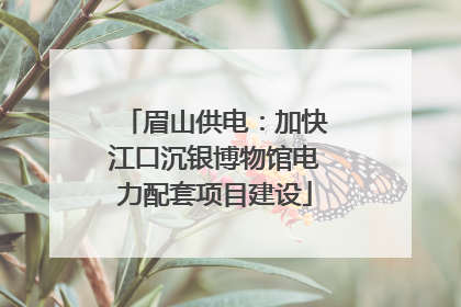 眉山供电：加快江口沉银博物馆电力配套项目建设