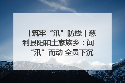 筑牢“汛”防线｜慈利县阳和土家族乡：闻“汛”而动 全员下沉筑牢防汛“安全堤”