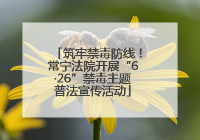 筑牢禁毒防线！常宁法院开展“6·26”禁毒主题普法宣传活动