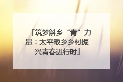 筑梦斛乡“青”力量：太平畈乡乡村振兴青春进行时