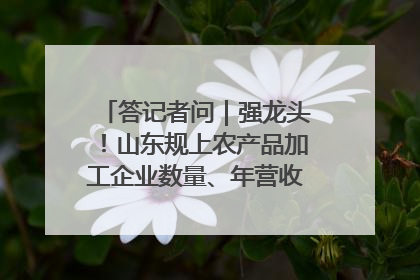 答记者问｜强龙头！山东规上农产品加工企业数量、年营收均居全国首位