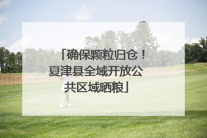 确保颗粒归仓！夏津县全域开放公共区域晒粮