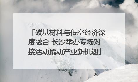 碳基材料与低空经济深度融合 长沙举办专场对接活动撬动产业新机遇
