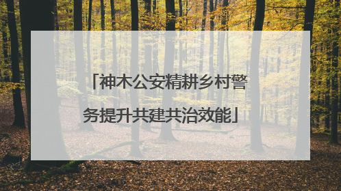 神木公安精耕乡村警务提升共建共治效能