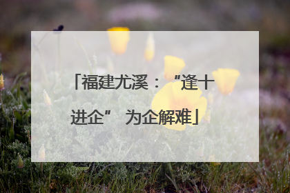 福建尤溪：“逢十进企” 为企解难