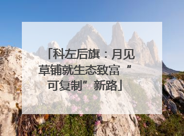 科左后旗：月见草铺就生态致富“可复制”新路