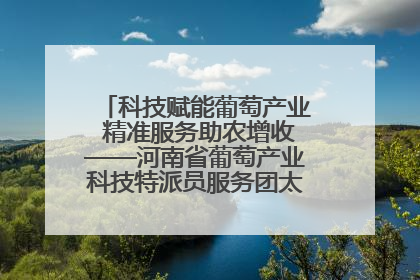 科技赋能葡萄产业 精准服务助农增收——河南省葡萄产业科技特派员服务团太康县科技服务纪实